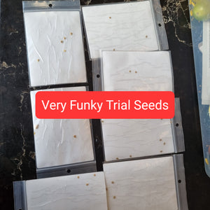 Funky trials